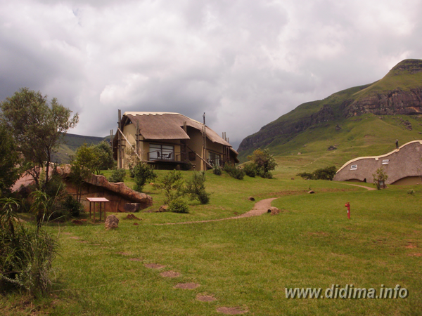 didima camp 4 bed chalet2.png